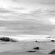 Black and White Shoreline landscape of South Africa