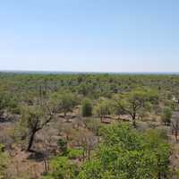 Landscape of Kruger National Park in South Africa