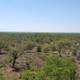 Landscape of Kruger National Park in South Africa