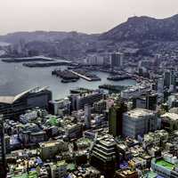 Busan Cooperative Fish Market and Jagalchi Market in Busan, South Korea