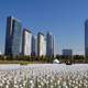 Skyline of Incheon and landscape from Songdo Central park, South Korea