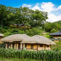 Rural Village in South Korea