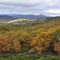 Autumn leaves and colors under the cloudy sky in Spain