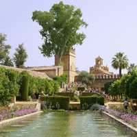 Gardens of the Alcázar de los Reyes Cristianos in Cordoba, Spain