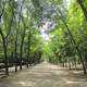 La Isla Park and Path in Burgos, Spain