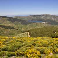 Landscape with lake with hills