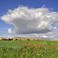 Large clouds over the flowery meadow