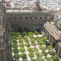 Courtyard of the Cathedral in Seville, Spain