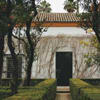 House with shrubs in Seville, Spain