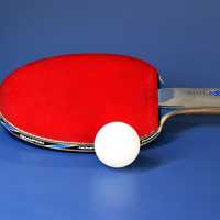 Table Tennis Paddle and Ball