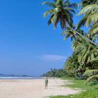 Matara Beach landscape, Sri Lanka