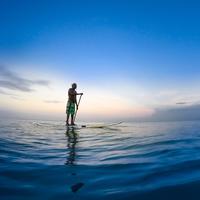 Stand up Paddler in the Ocean in Sri Lanka
