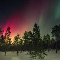 The Aurora Borealis in Sweden