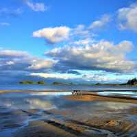 Beach and Sea Landscape in lake Vanern, Sweden