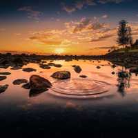 Sunrise over the pond in Stockholm, Sweden