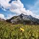 Aeschiried landscape and grass and mountain in Switzerland