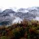 Foggy Mountains and forest in Switzerland