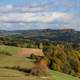 Forest landscape at Fraconian, Switzerland