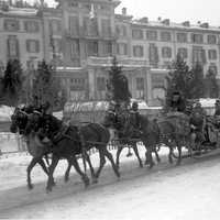 Horses pulling sleigh in the winter in St. Moritz, Switzerland