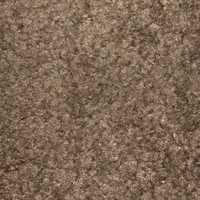 Carpet Texture