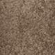 Carpet Texture