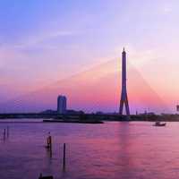 Rama viii bridge cityscape view in Bangkok, Thailand