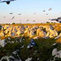 Flock of Birds flying over Cappadocia, Turkey
