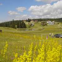 Gerede Yaylasi Fields and Landscape