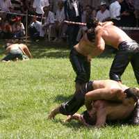 Oil-wrestling at Kırkpınar, Turkey