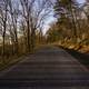 Road up the mountain at Cheaha State Park