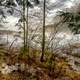 Brushy Lake Dam - Bankhead National Forest painting