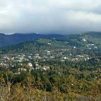 Anchorage among the trees in Alaska