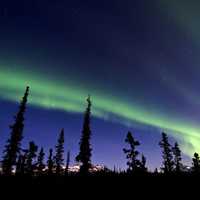Aurora Borealis in Denali National Park, Alaska