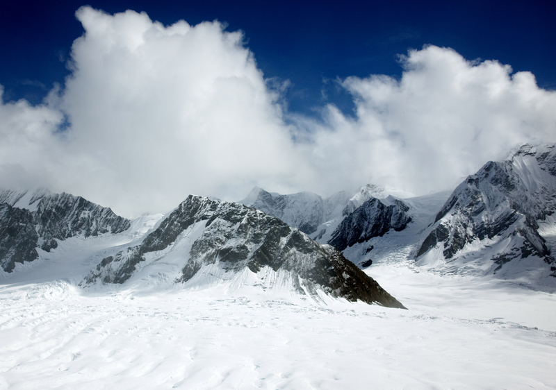 denali national park