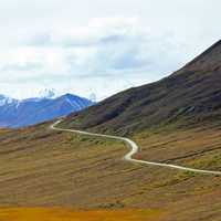 Hiking Path at Denali National Park, Alaska