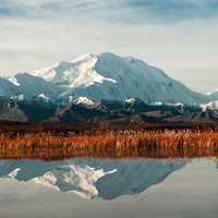 Landscape and reflection of Denali in Denali National Park, Alaska