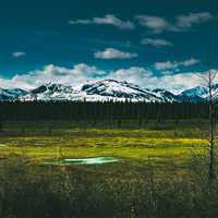 Landscape with Mountains in Denali National Park, Alaska