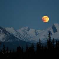 Moon over the Mountains at Denali National Park, Alaska