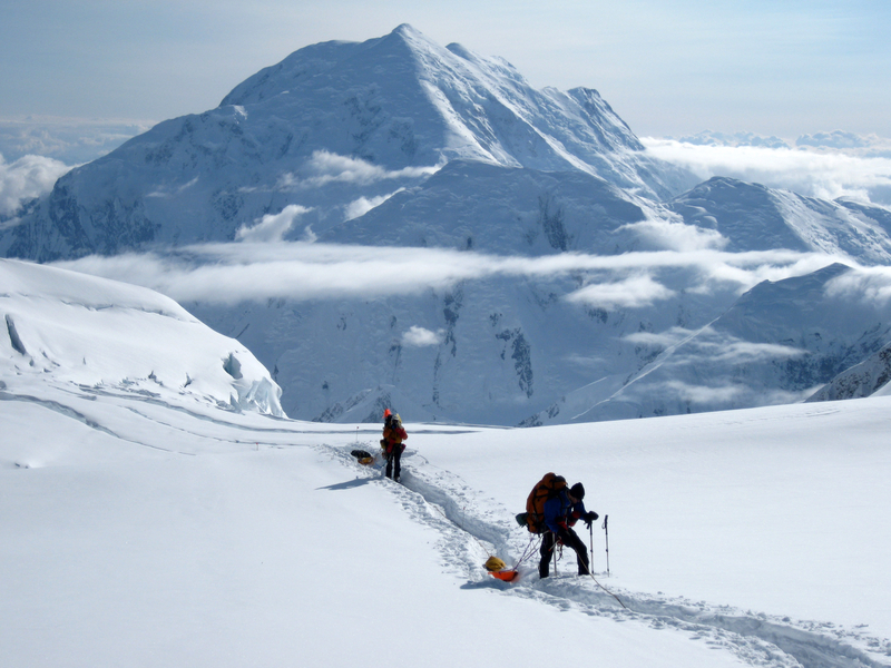 denali national park