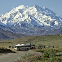 Denali National Park  Photos