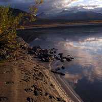 Bear Tracks along the lake at Gates of Arctic National Park, Alaska