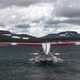 Float Plane landing on the lake