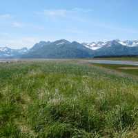 Western Bear Viewing Area landscape in Lake Clark National Park