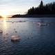 Winter Shoreline on Frozen Lake Clark