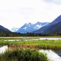 Landscape with Mountains with wetlands in Alaska