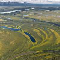 Overview of the swampy landscape in Alaska near the Kobuk River