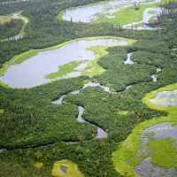 Ponds and Marshes in the Kobuk River Region