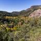 Flume Trail Flora landscape