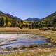 Lockett Meadow landscape with pond