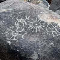Petroglyph a Saguaro National Park, Arizona